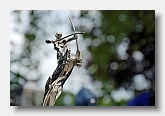 2009-07-11_1101